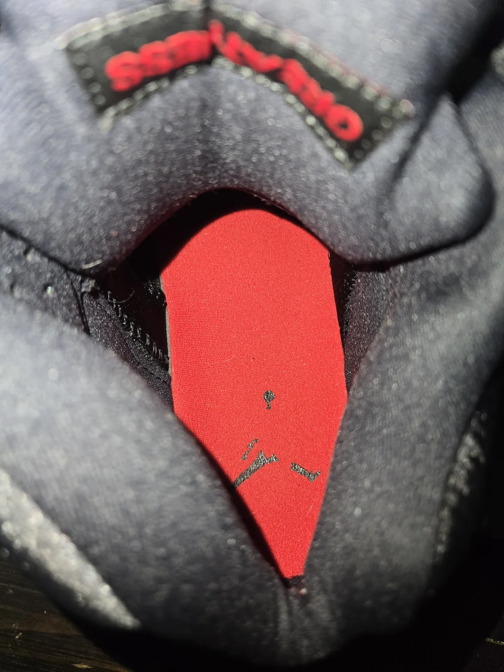 Air Jordan 5 Men